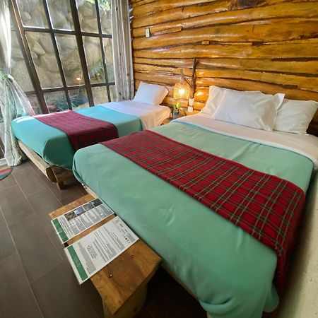 Eco Quechua Lodge Santa Teresa  Exterior foto